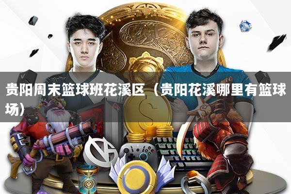 贵阳周末篮球班花溪区（贵阳花溪哪里有篮球场）