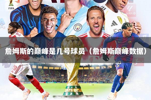 詹姆斯的巅峰是几号球员（詹姆斯巅峰数据）