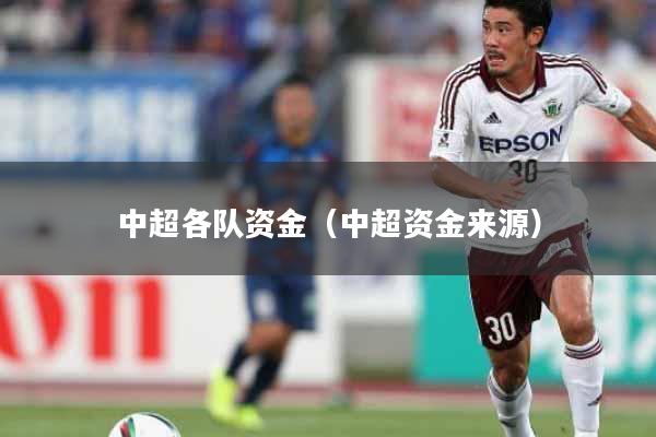 中超各队资金（中超资金来源）