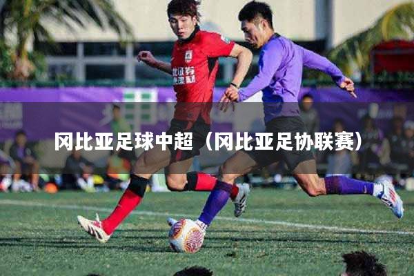 冈比亚足球中超（冈比亚足协联赛）